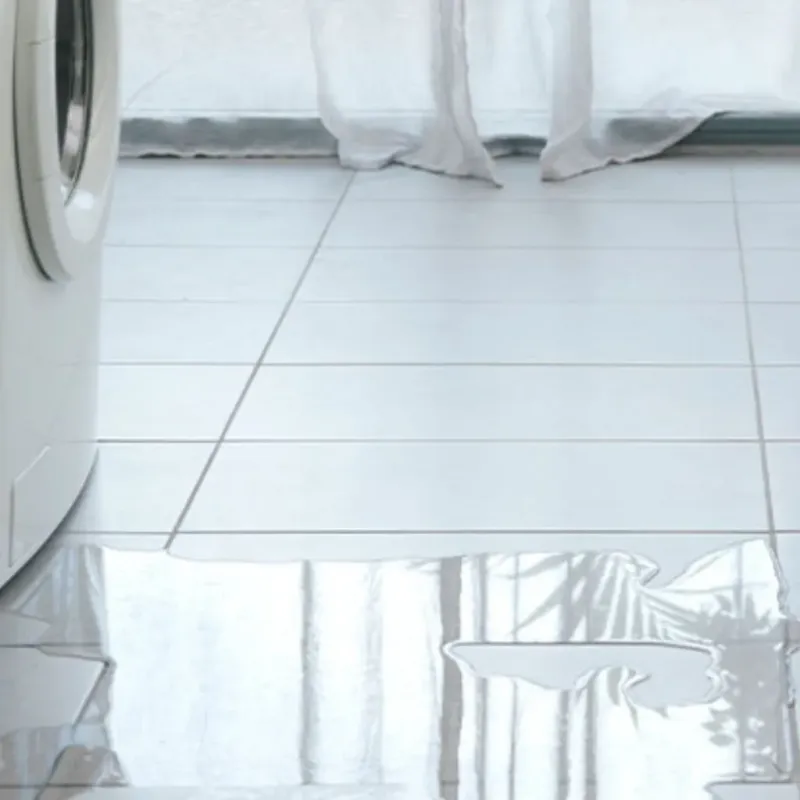 Appliance Leak Cleanup in Martinsville, IN