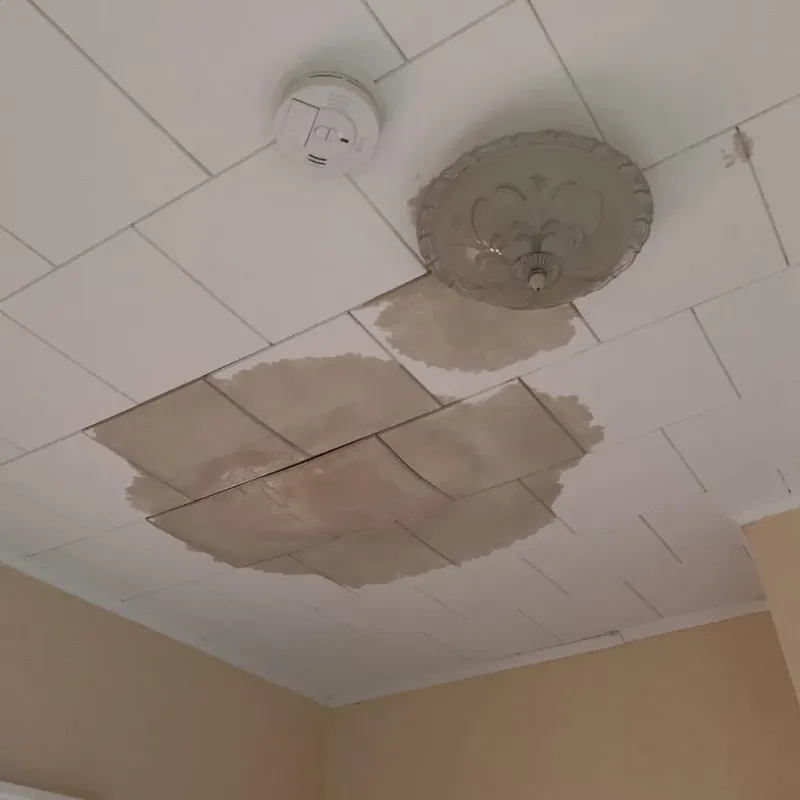Ceiling Water Damage Repair in Martinsville, IN