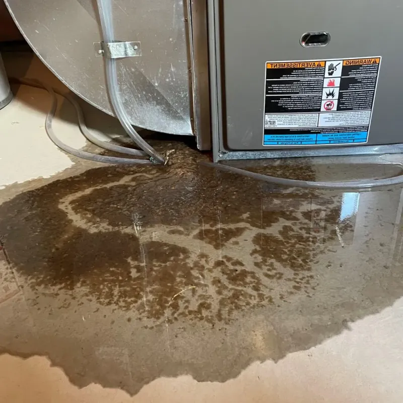 Pipe Burst and Leak Restoration in Martinsville, IN