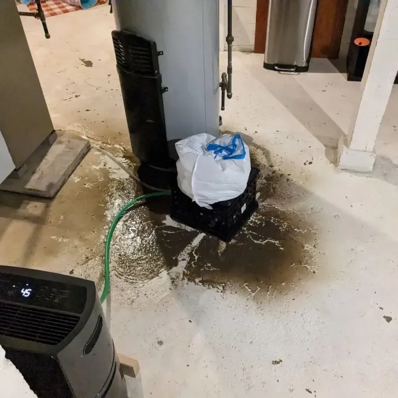 Sewage Backup Cleanup Service in Martinsville, IN